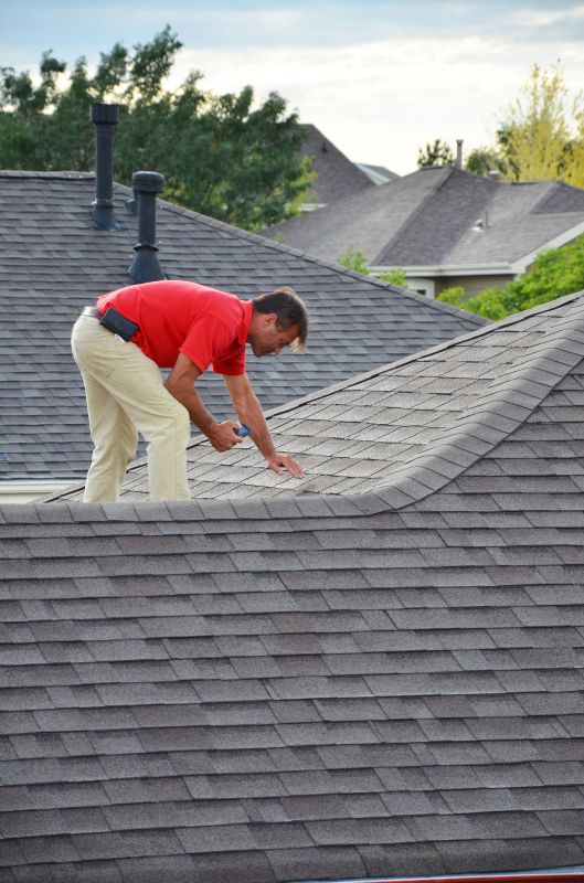 Seasonal Roof Inspection